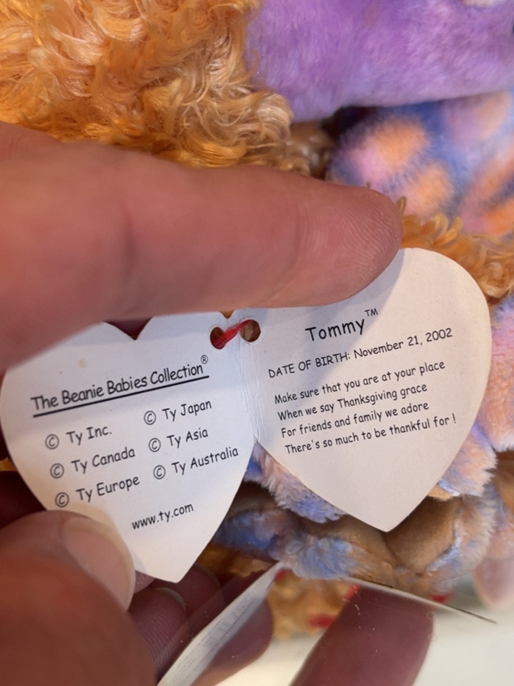 ‘02 - Ty - Tommy the Turkey Beanie Baby - Picture 6 of 9